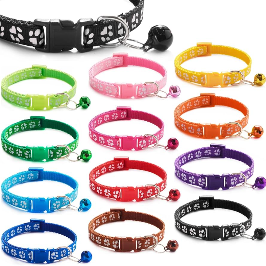 Collares para perro de colores